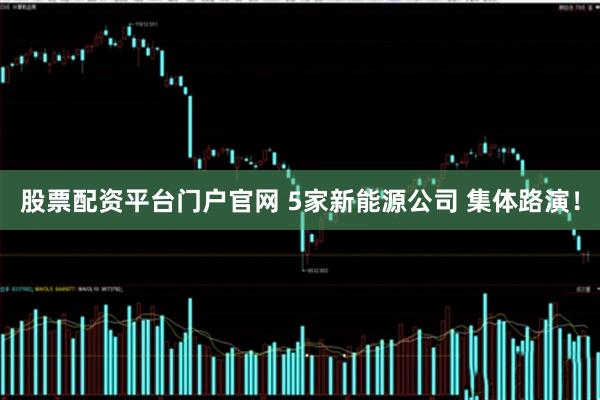 股票配资平台门户官网 5家新能源公司 集体路演！