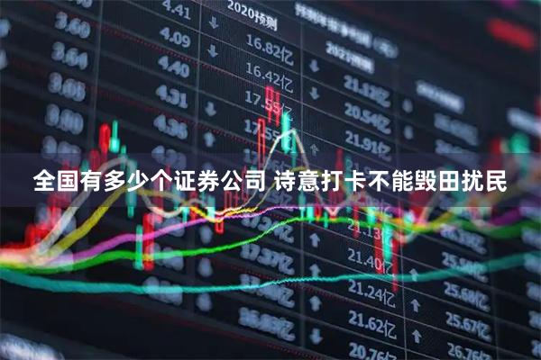 全国有多少个证券公司 诗意打卡不能毁田扰民
